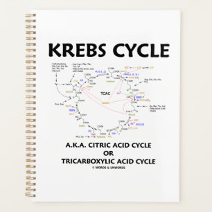 Agenda Krebs Cycle A.K.A. Ciclo Ácido Cítrico Tricarbox