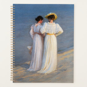 Agenda Kroyer - Noite de Verão em Skagen Beach Closeup