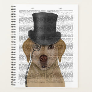 Agenda Labrador Amarelo, Chapéu Formal