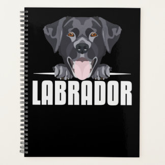 Agenda Labrador Preto Sorrente, Laboratório