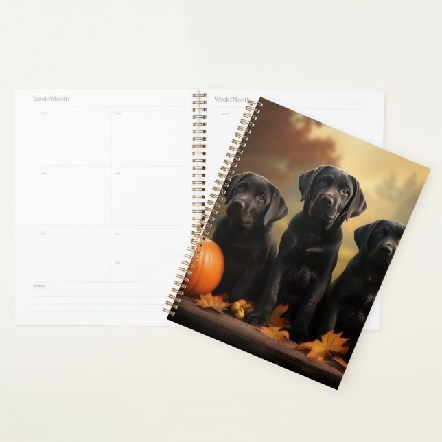 Agenda Labrador Puppy Autumn Delight Pumpkin (Exibição)