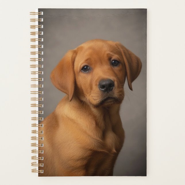 Agenda Labrador Retriever Fox Red (Frente)