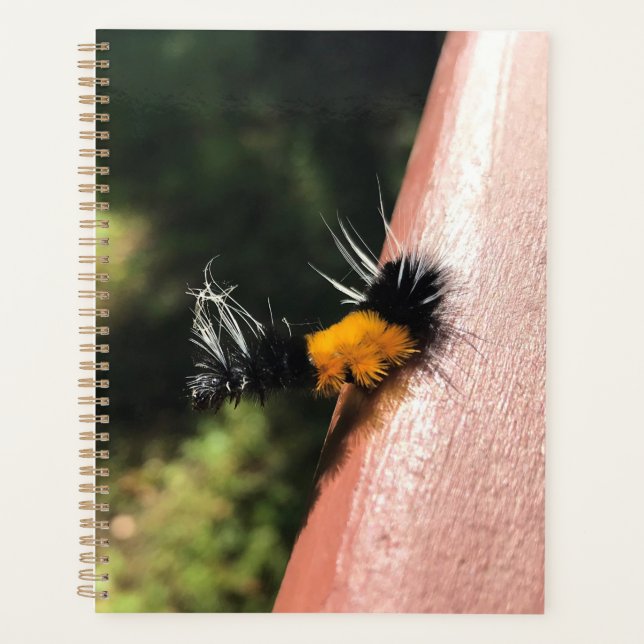Agenda Lagarta dançante (Frente)