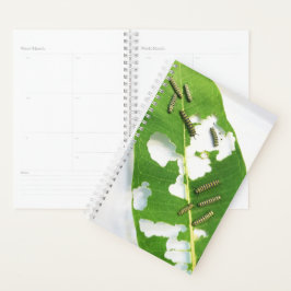 Agenda Lagartas de Monarca Pequenas Planner Sm Planner