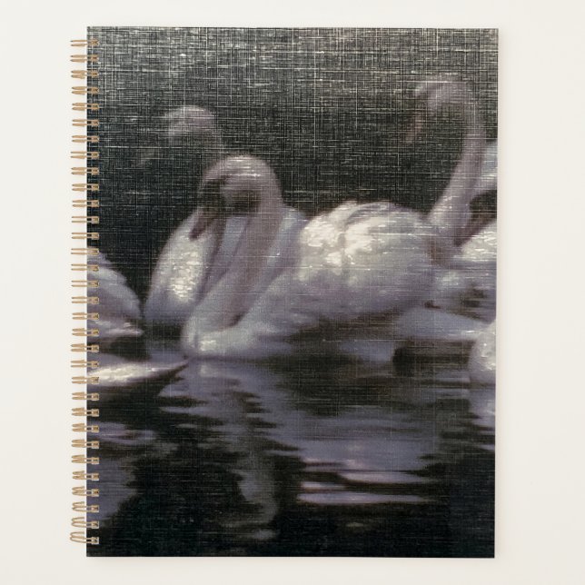 Agenda Lago de Cisnes ao Luar (Frente)