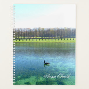 Agenda Lago Forest. Vai para a água.