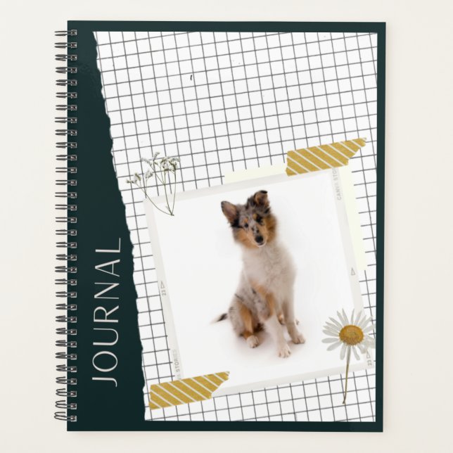 Agenda Langhaar Collie  (Frente)