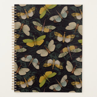 Agenda Lanternófilos - Píropos Candelaria e Outros Planth