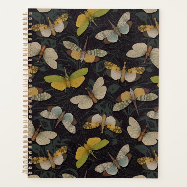 Agenda Lanternófilos - Píropos Candelaria e Outros Planth (Frente)