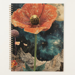 Agenda Laranja Popia Sob Luz