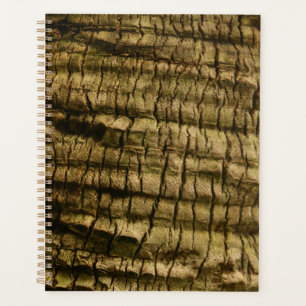 Agenda Latido Palm Tree