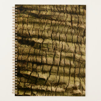 Agenda Latido Palm Tree