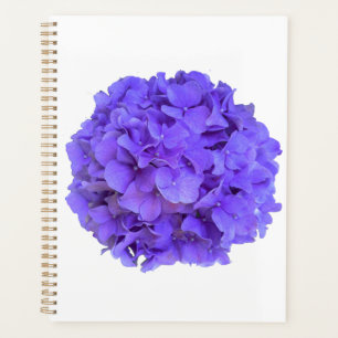 Agenda Lavanda lilás púrpura Hidrópias Púrpuras Flores