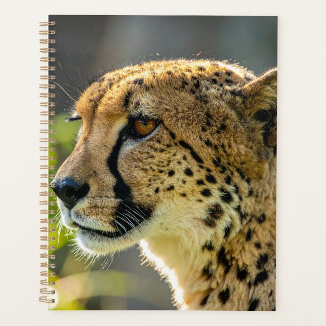 Agenda leopard (Frente)