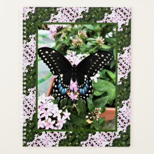 Agenda Lg Planner Black Swallowtail