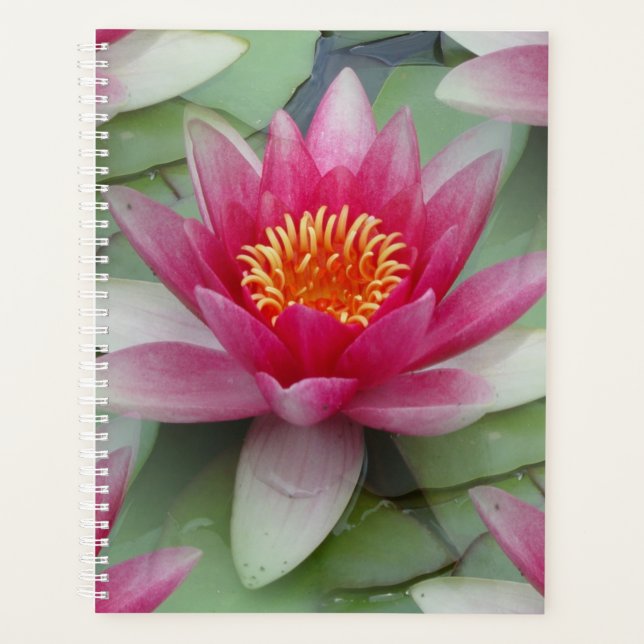 Agenda Lily de Água do Lotus Rosa (Frente)