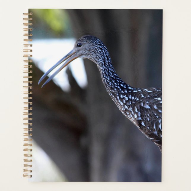 Agenda Limpkin, The Crying Bird (Frente)