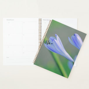 Agenda Linda Flor Azul Pálido Roxo