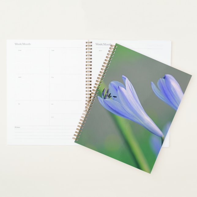 Agenda Linda Flor Azul Pálido Roxo (Exibição)