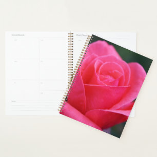 Agenda Linda Foto Rosa Rosa Macro