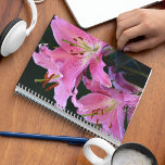 Agenda Linda Lily Blooms Rosa Floral<br><div class="desc">Este planejador mensal/semanal mantém todas as suas atividades e agendas futuras organizadas num único lugar útil e apresenta a imagem fotográfica da adorável, rosa flor da Lily Oriental em ambos os lados. Um design floral adorável! Selecione a cor do fio do planejador.</div>