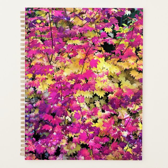 Agenda Lindas Folhas (Frente)