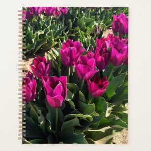 Agenda Lindas Tulipas