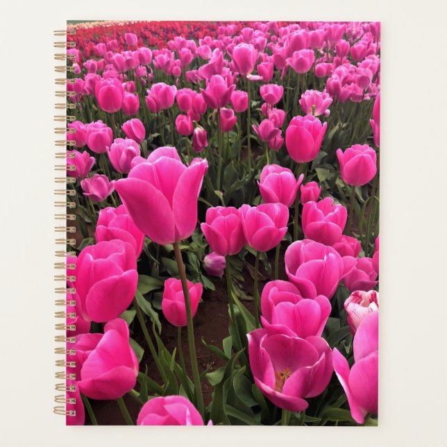 Agenda Lindas Tulipas Rosa, Oregon (Frente)