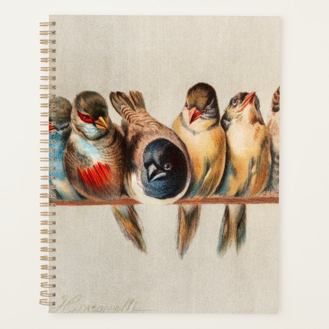 Agenda Linha de aves e pomba (Frente)