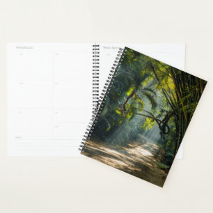 Agenda Linhas de Bambu