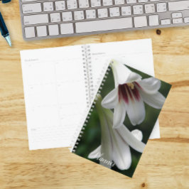 Agenda Lírios Gigantes do Himalaia Floral