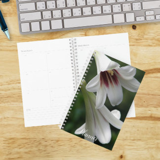 Agenda Lírios Gigantes do Himalaia Floral