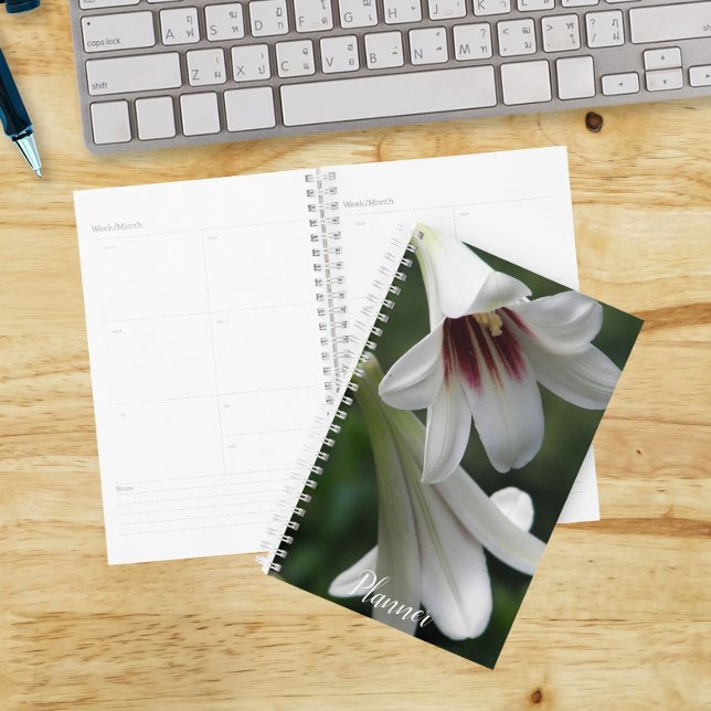 Agenda Lírios Gigantes do Himalaia Floral (In Situ)