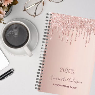 Agenda Livro de marcação, cor-de-rosa, dourado-rosa 2025