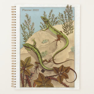 Agenda Lizard, por Verneuil, Lézard, French Reptile Art,