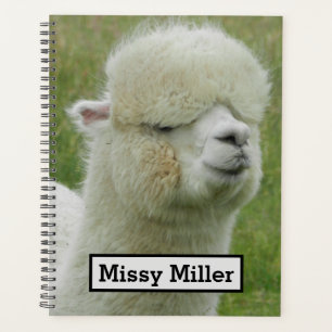Agenda Llama