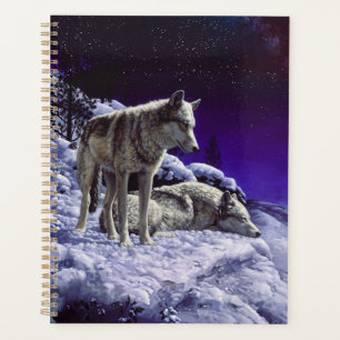 Agenda Lobos cinzas na neve de inverno à noite