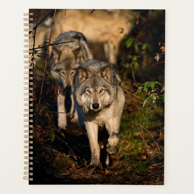 Agenda Lobos de Madeira Oriental (Frente)
