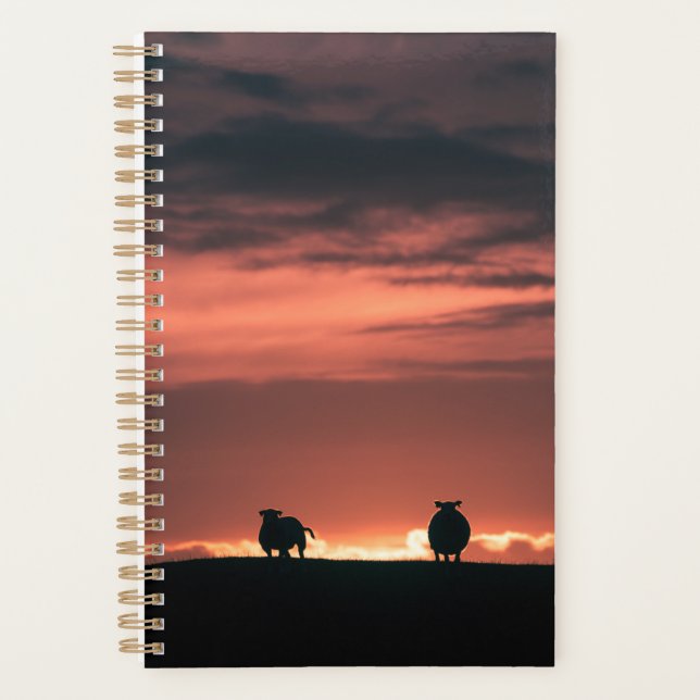 Agenda Lofoten Islands Sheep (Frente)