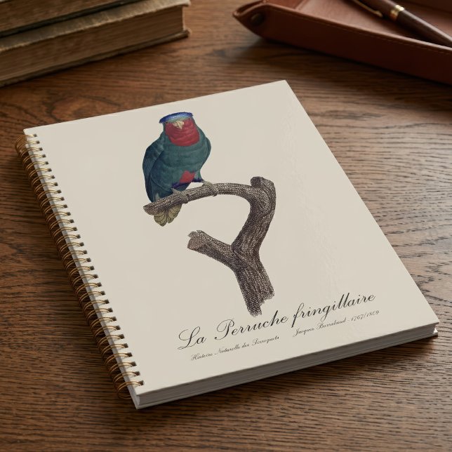 Agenda Loriqueut de Coroa Azul, Vini Australis (Blue-Crowned Lorikeet, Vini Australis. Planner)