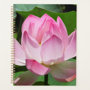 Agenda Lotus Bloom Rosa