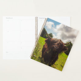 Agenda Luz verde do campo verde da vaca em lata negra