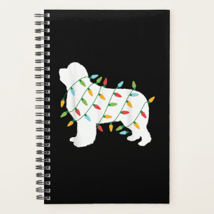 Agenda Luzes de Natal presentes na Terra Nova amantes d