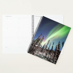 Agenda Luzes do norte Parque Nacional Denali