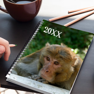 Agenda Macaco - Avô