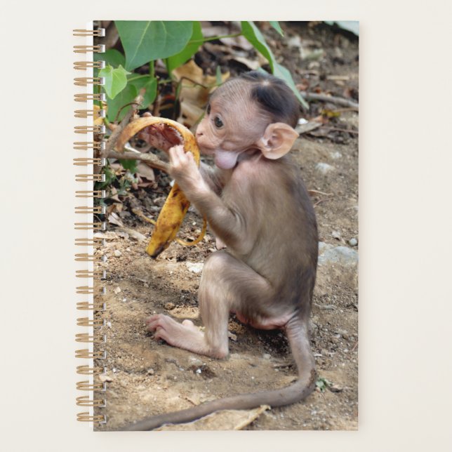 Agenda Macaco-Bebê (Frente)