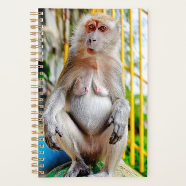 Agenda Macaco-cinzento (Frente)