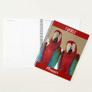 Agenda Macacos vermelhos, azuis, verdes (papagaios)