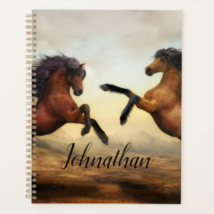 Agenda Majestnacionais Stallions