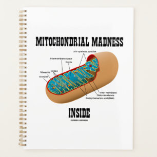 Agenda Mal mitocondrial Dentro Mitocondrion Biologia